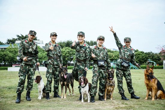 《奇兵神犬》收视三连冠持续领跑,姜潮张馨予热搜霸榜教官何捷人气